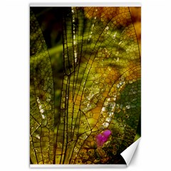 Dragonfly Dragonfly Wing Insect Canvas 20  X 30   by Nexatart