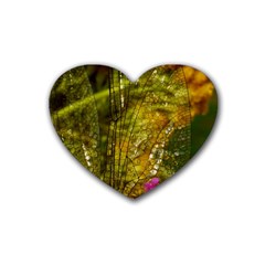 Dragonfly Dragonfly Wing Insect Rubber Coaster (heart)  by Nexatart