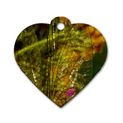 Dragonfly Dragonfly Wing Insect Dog Tag Heart (two Sides) by Nexatart