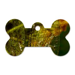 Dragonfly Dragonfly Wing Insect Dog Tag Bone (two Sides) by Nexatart