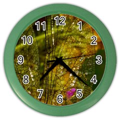 Dragonfly Dragonfly Wing Insect Color Wall Clocks by Nexatart