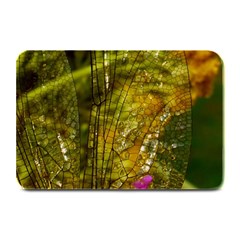 Dragonfly Dragonfly Wing Insect Plate Mats by Nexatart