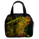 Dragonfly Dragonfly Wing Insect Classic Handbags (2 Sides) Front