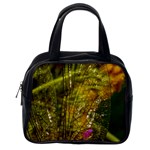 Dragonfly Dragonfly Wing Insect Classic Handbags (2 Sides) Back