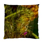 Dragonfly Dragonfly Wing Insect Standard Cushion Case (One Side) Front