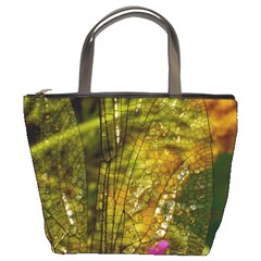 Dragonfly Dragonfly Wing Insect Bucket Bags by Nexatart