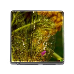 Dragonfly Dragonfly Wing Insect Memory Card Reader (square) by Nexatart