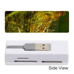 Dragonfly Dragonfly Wing Insect Memory Card Reader (stick)  by Nexatart