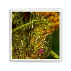 Dragonfly Dragonfly Wing Insect Memory Card Reader (square)  by Nexatart