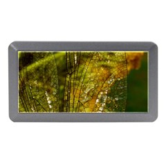 Dragonfly Dragonfly Wing Insect Memory Card Reader (mini) by Nexatart