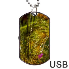 Dragonfly Dragonfly Wing Insect Dog Tag Usb Flash (one Side) by Nexatart