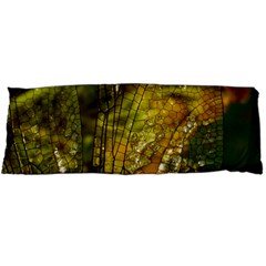 Dragonfly Dragonfly Wing Insect Body Pillow Case Dakimakura (two Sides) by Nexatart