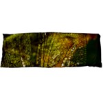 Dragonfly Dragonfly Wing Insect Body Pillow Case Dakimakura (Two Sides) Front