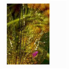 Dragonfly Dragonfly Wing Insect Large Garden Flag (two Sides) by Nexatart