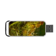 Dragonfly Dragonfly Wing Insect Portable Usb Flash (two Sides) by Nexatart