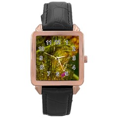 Dragonfly Dragonfly Wing Insect Rose Gold Leather Watch  by Nexatart