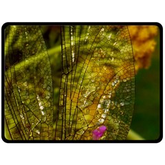 Dragonfly Dragonfly Wing Insect Double Sided Fleece Blanket (large)  by Nexatart