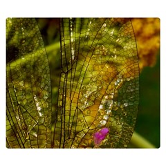 Dragonfly Dragonfly Wing Insect Double Sided Flano Blanket (small)  by Nexatart