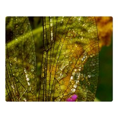 Dragonfly Dragonfly Wing Insect Double Sided Flano Blanket (large)  by Nexatart