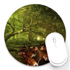 Red Deer Deer Roe Deer Antler Round Mousepads by Nexatart