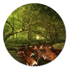 Red Deer Deer Roe Deer Antler Magnet 5  (round) by Nexatart