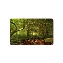 Red Deer Deer Roe Deer Antler Magnet (name Card) by Nexatart