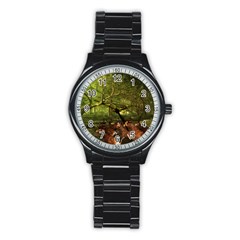 Red Deer Deer Roe Deer Antler Stainless Steel Round Watch by Nexatart