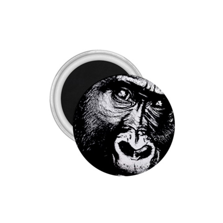 Gorilla 1.75  Magnets