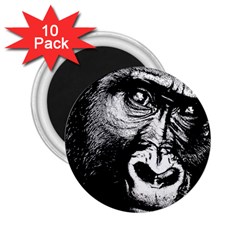 Gorilla 2 25  Magnets (10 Pack) 