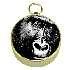 Gorilla Gold Compasses by Valentinaart