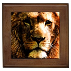 Lion  Framed Tiles by Valentinaart