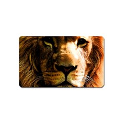 Lion  Magnet (name Card) by Valentinaart