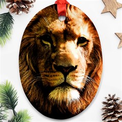 Lion  Oval Ornament (two Sides) by Valentinaart