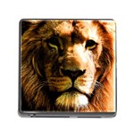 Lion  Memory Card Reader (Square) Front