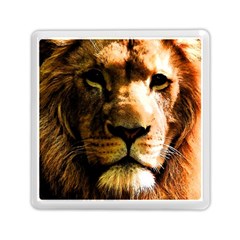 Lion  Memory Card Reader (square)  by Valentinaart