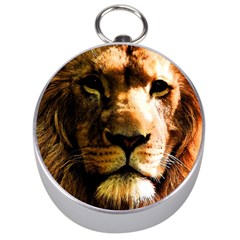 Lion  Silver Compasses by Valentinaart