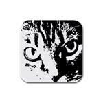 Cat Rubber Square Coaster (4 pack)  Front