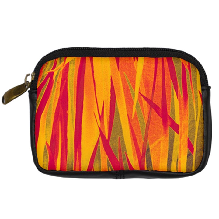 Pattern Digital Camera Cases