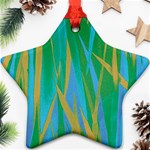 Pattern Star Ornament (Two Sides) Front