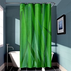 Pattern Shower Curtain 36  X 72  (stall) 