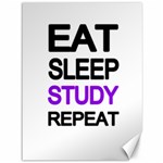 Eat sleep study repeat Canvas 36  x 48   35.26 x46.15  Canvas - 1