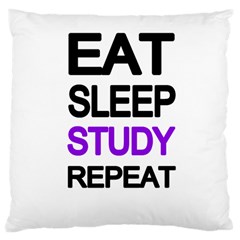 Eat sleep study repeat Large Cushion Case (Two Sides)