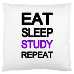 Eat sleep study repeat Standard Flano Cushion Case (Two Sides)