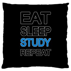 Eat Sleep Study Repeat Standard Flano Cushion Case (two Sides) by Valentinaart