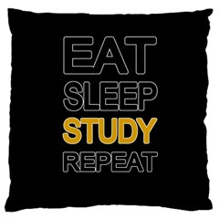 Eat Sleep Study Repeat Standard Flano Cushion Case (two Sides) by Valentinaart