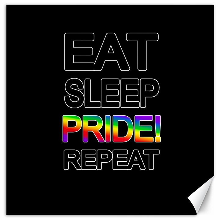 Eat sleep pride repeat Canvas 16  x 16  