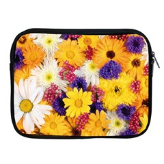 Colorful Flowers Pattern Apple iPad 2/3/4 Zipper Cases