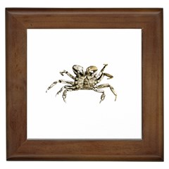 Dark Crab Photo Framed Tiles by dflcprints