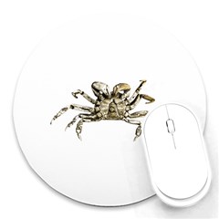 Dark Crab Photo Round Mousepads by dflcprints