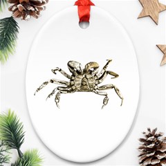 Dark Crab Photo Ornament (oval) by dflcprints